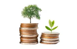 foglia di plumule dell'albero sulle monete di risparmio dei soldi, concetto di investimento bancario di risparmio di finanza aziendale. foto