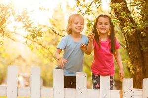 Due bellissimo giovane ragazze nel il giardino recinto foto