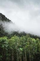 maestoso montagne nel il Alpi coperto con alberi e nuvole foto