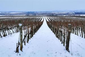 inverno Paese delle meraviglie vicino tokaj foto