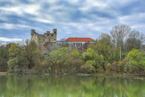 fiume bodrog con il castello di il rakoczis foto