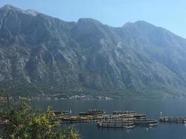 kotor nel montenegro foto