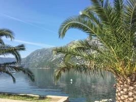 kotor nel montenegro foto