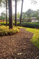 panoramico Visualizza di un' giardino paesaggio con sorprendente impianti e fiori. paesaggi nel il pubblico parco sotto un' nuvoloso cielo foto