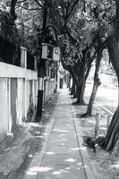 silenzioso strada scena su il marciapiede foto