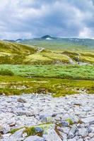 bellissimo montagna e paesaggio natura panorama rondane nazionale parco Norvegia. foto