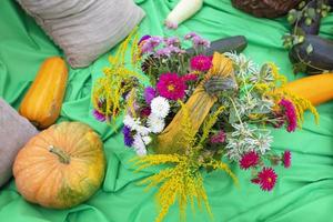 autunno frutta a il agricolo giusto. foto