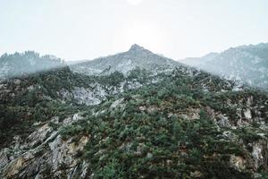 maestoso montagne nel il Alpi coperto con alberi e nuvole foto