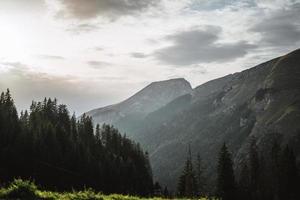 maestoso montagne nel il Alpi coperto con alberi e nuvole foto