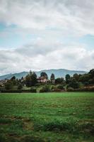 maestoso montagne nel il Alpi coperto con alberi e nuvole foto