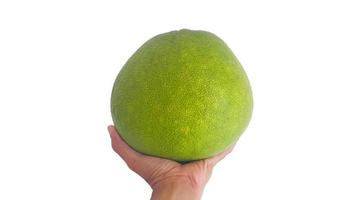 mano Tenere verde pomelo isolato su bianca sfondo. il maggiore agrume frutta. foto