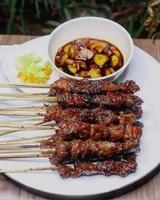 uno di il tradizionale Alimenti nel Indonesia è pollo satay foto