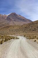 deserto di dali in bolivia foto