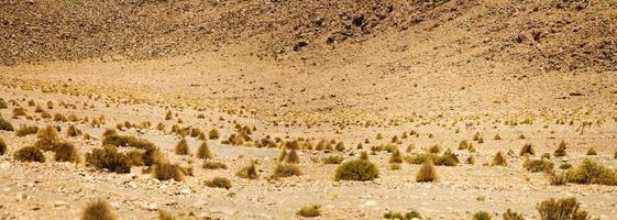 deserto di dali in bolivia foto