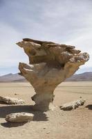 riserva nazionale della fauna andina di eduardo avaroa in bolivia foto