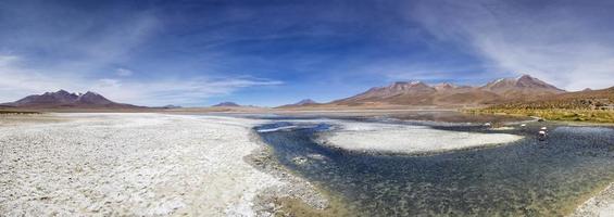 laguna colorada in bolivia foto