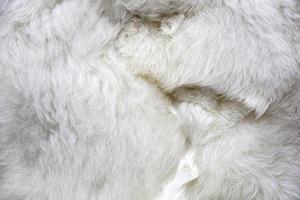 lana di baby alpaca foto