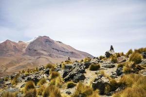 laguna colorada in bolivia foto