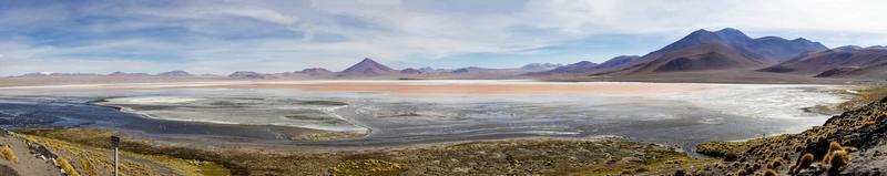 laguna colorada in bolivia foto