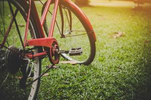 bicicletta nel parco foto