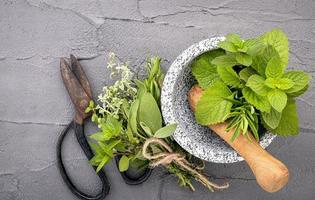 erbe aromatiche in un mortaio su uno sfondo grigio foto