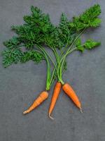 mazzo di carote fresche foto