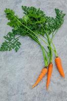 mazzo di carote fresche foto