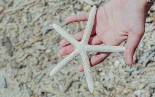 mano che tiene una stella marina foto