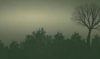 foresta nel il montagne sfondo, alberi silhouette sfondo foto