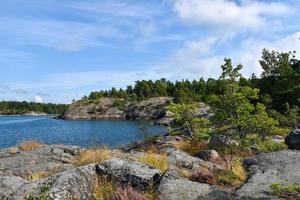 stoccolma Svezia arcipelago vegetazione nel il rocce scenario foto