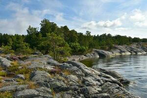 stoccolma Svezia arcipelago roccia vegetazione foto