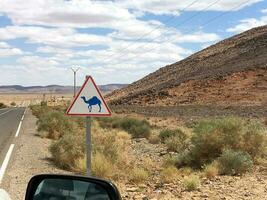 Marocco deserto cammelli su strada cartello foto