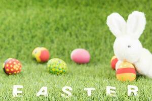 coniglietto giocattoli e Pasqua uova con testo foto