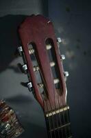 chitarra avvoltoio. musicale strumento. stringhe su acustico chitarra. foto