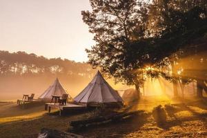 tenda campeggio nel il mattina . a tung salaeng luang nazionale parco Phetchabun Provincia, Tailandia foto