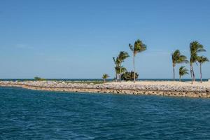 palma alberi su un' rompere parete su un' tropicale isola foto