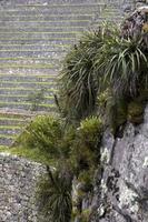 muro di pietra in Perù foto