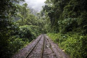 ferrovia ad aguas calientes in perù foto
