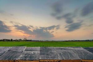 legna tavolo per Prodotto montaggio e Schermo con riso campo tramonto. foto