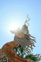 stucco Drago è un' Cinese scultura e è un' mitico creatura quello è popolarmente costruito nel Cinese templi e santuari. esso è un' delicato arte creato di qualificato artigiani. foto