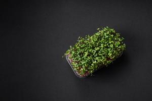 fresco microgreen ravanello nel un' plastica scatola su un' buio calcestruzzo sfondo foto