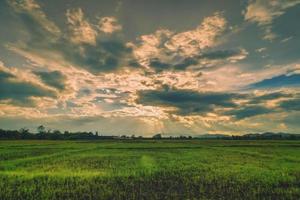 naturale scena cielo nuvole e campo agricolo tramonto sfondo foto