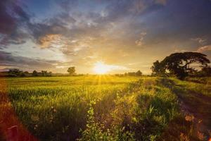 paesaggio con nuvole in movimento riso campo e tramonto. foto