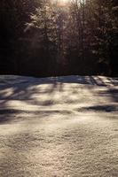 scintillante i fiocchi di neve caduta neve coperto terra paesaggio foto