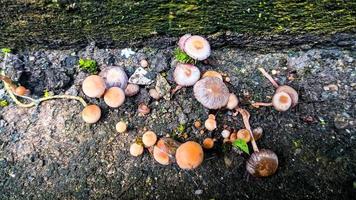 avvicinamento di un' il giro acciaio buco della serratura, guardare vecchio e arrugginito, su il vecchio bianca porta foto