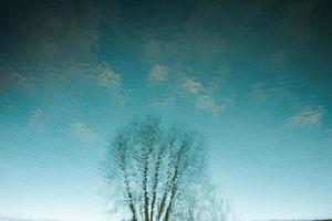 albero e cielo riflessione nel acqua foto