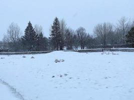 un' Visualizza di Reykjavik parco coperto nel neve foto