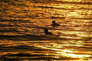 nuotare nell'oceano foto