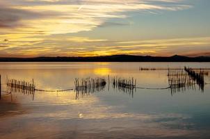 estuario dell'albufera a valencia, spagna foto