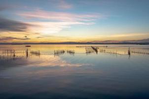 estuario dell'albufera a valencia, spagna foto